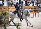 Pferd International 106